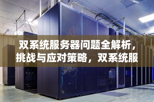 双系统服务器问题全解析，挑战与应对策略，双系统服务器问题有哪些原因