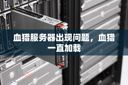 血猎服务器出现问题，血猎一直加载