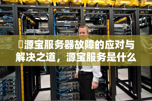 釆源宝服务器故障的应对与解决之道，源宝服务是什么