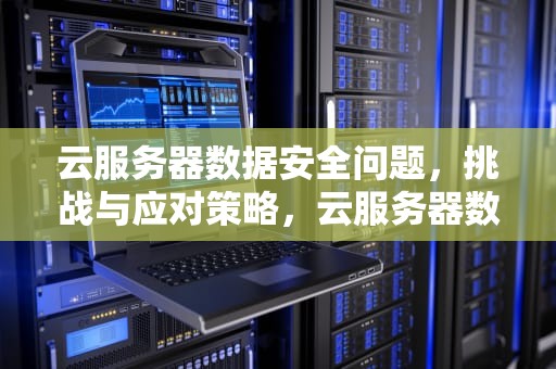 云服务器数据安全问题，挑战与应对策略，云服务器数据安全问题有哪些