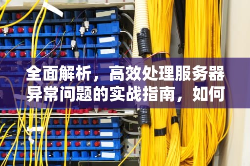 全面解析，高效处理服务器异常问题的实战指南，如何处理服务器异常问题