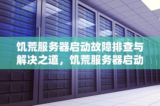 饥荒服务器启动故障排查与解决之道，饥荒服务器启动出现问题怎么解决