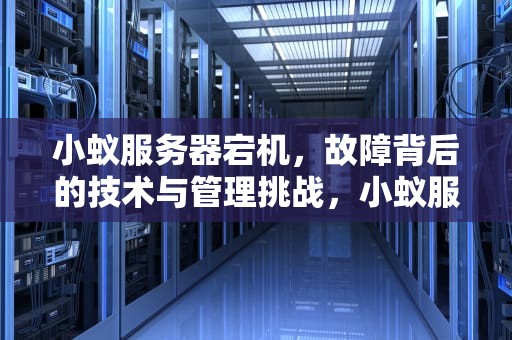 小蚁服务器宕机，故障背后的技术与管理挑战，小蚁服务器出问题了怎么办
