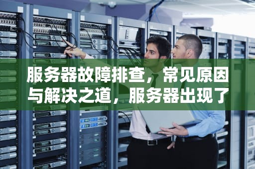 服务器故障排查，常见原因与解决之道，服务器出现了什么问题怎么解决