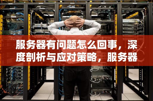 服务器有问题怎么回事，深度剖析与应对策略，服务器有问题怎么回事啊