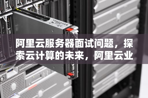 阿里云服务器面试问题，探索云计算的未来，阿里云业务面试