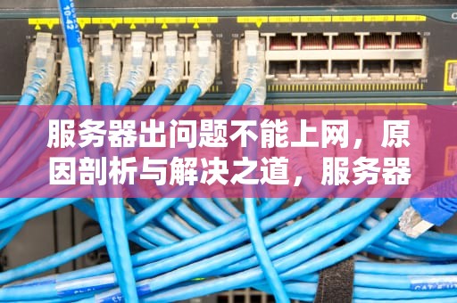 服务器出问题不能上网，原因剖析与解决之道，服务器出问题不能上网怎么办