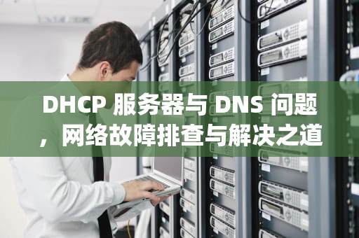 DHCP 服务器与 DNS 问题，网络故障排查与解决之道，dhcp服务器错误