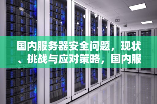 国内服务器安全问题，现状、挑战与应对策略，国内服务器安全问题有哪些