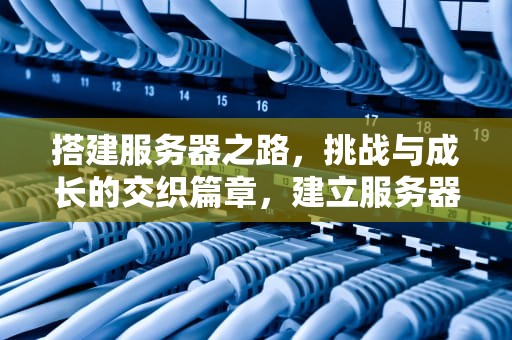 搭建服务器之路，挑战与成长的交织篇章，建立服务器时遇到问题怎么解决