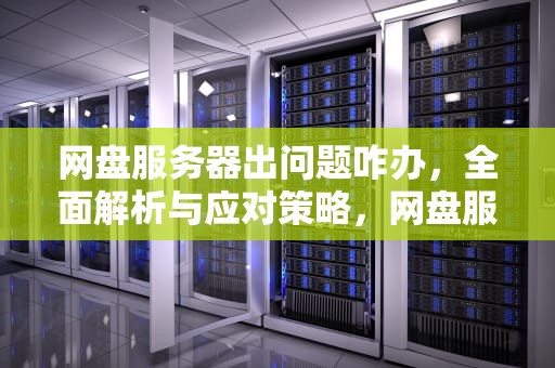 网盘服务器出问题咋办，全面解析与应对策略，网盘服务器出问题咋办啊