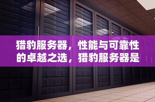 猎豹服务器，性能与可靠性的卓越之选，猎豹服务器是什么问题的