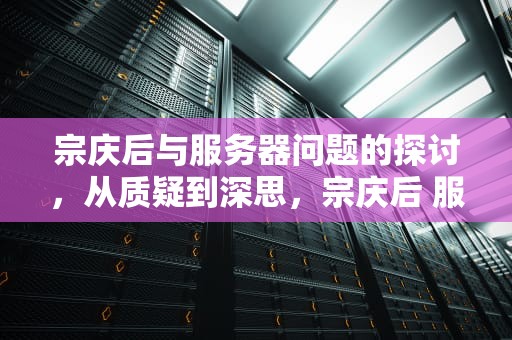 宗庆后与服务器问题的探讨，从质疑到深思，宗庆后 服务器