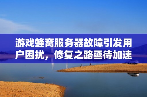 游戏蜂窝服务器故障引发用户困扰，修复之路亟待加速，游戏蜂窝服务器出问题了怎么办