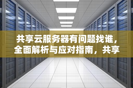 共享云服务器有问题找谁，全面解析与应对指南，共享服务器无法访问