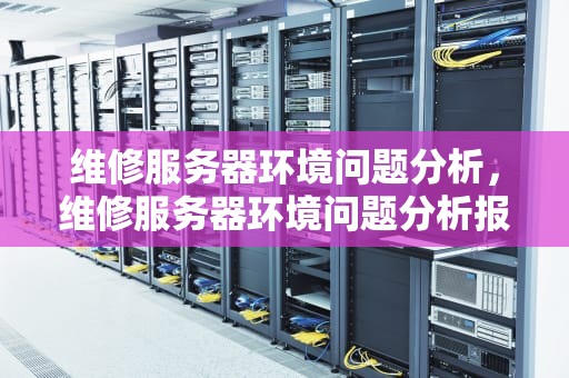 维修服务器环境问题分析，维修服务器环境问题分析报告