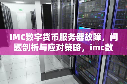 IMC数字货币服务器故障，问题剖析与应对策略，imc数字货币交易