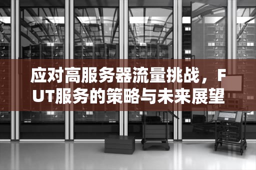 应对高服务器流量挑战，FUT服务的策略与未来展望，服务器当前流量过高