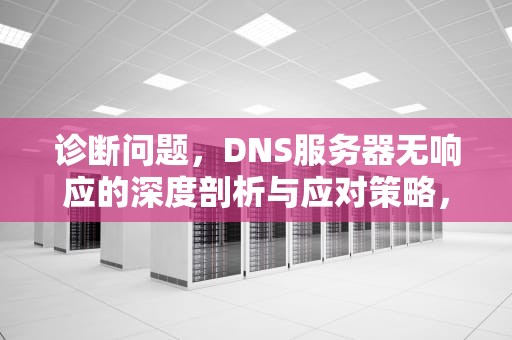 诊断问题，DNS服务器无响应的深度剖析与应对策略，诊断dns故障的命令