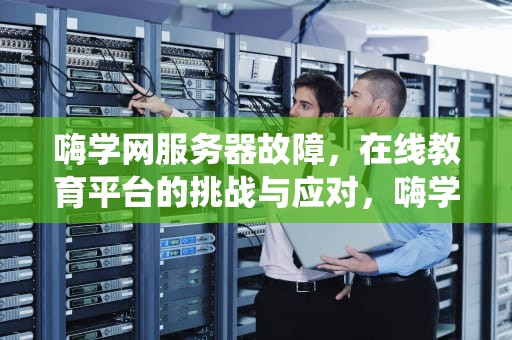 嗨学网服务器故障，在线教育平台的挑战与应对，嗨学网系统异常