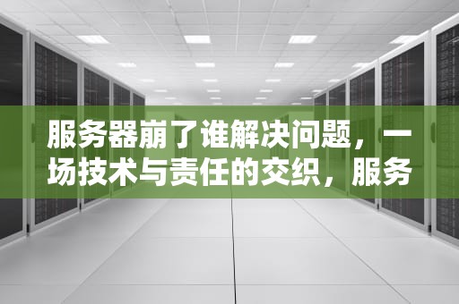 服务器崩了谁解决问题，一场技术与责任的交织，服务器崩了谁解决问题了