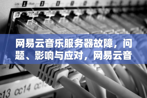 网易云音乐服务器故障，问题、影响与应对，网易云音乐服务器有问题怎么解决
