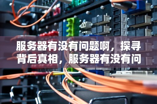服务器有没有问题啊，探寻背后真相，服务器有没有问题啊怎么查