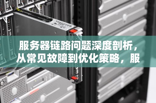 服务器链路问题深度剖析，从常见故障到优化策略，服务器链路问题有哪些类型