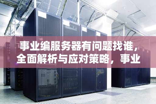 事业编服务器有问题找谁，全面解析与应对策略，事业编服务器有问题找谁投诉