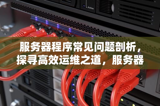 服务器程序常见问题剖析，探寻高效运维之道，服务器的程序有哪些问题呢