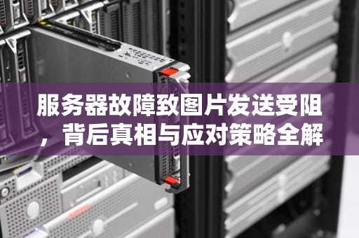 服务器故障致图片发送受阻，背后真相与应对策略全解析，服务器出问题发不了图片怎么办