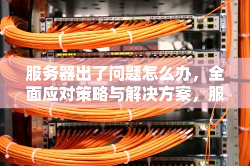 服务器出了问题怎么办，全面应对策略与解决方案，服务器出了问题怎么办啊