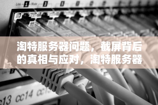 淘特服务器问题，截屏背后的真相与应对，淘特服务器问题截屏能解决吗