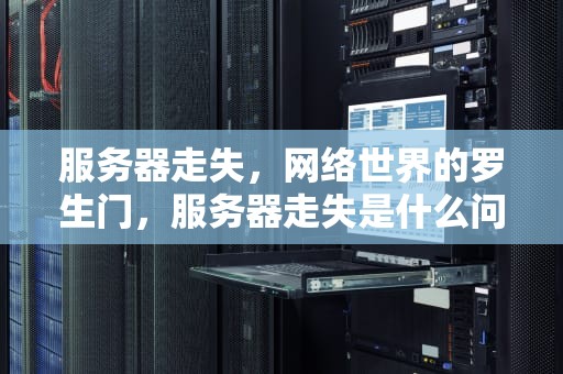 服务器走失，网络世界的罗生门，服务器走失是什么问题啊