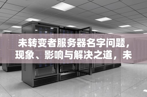 未转变者服务器名字问题，现象、影响与解决之道，未转变者服务器名字问题怎么解决
