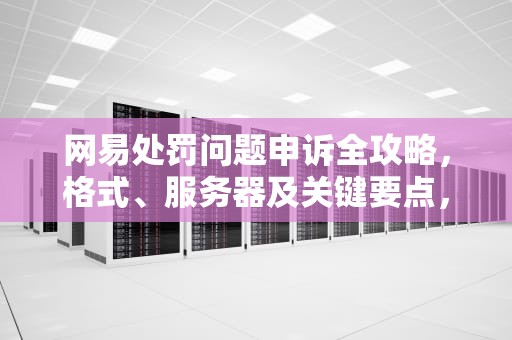 网易处罚问题申诉全攻略，格式、服务器及关键要点，网易处罚问题申诉格式服务器错误