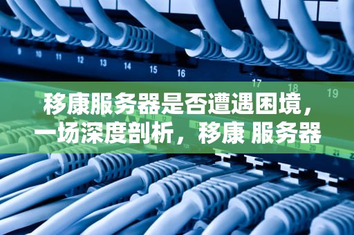 移康服务器是否遭遇困境，一场深度剖析，移康 服务器有问题吗怎么解决