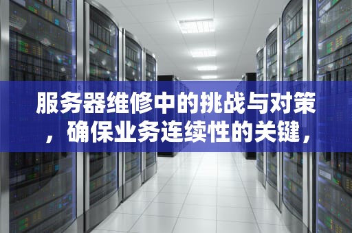 服务器维修中的挑战与对策，确保业务连续性的关键，服务器维修维保