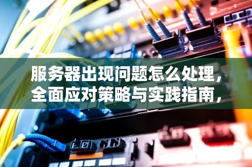 服务器出现问题怎么处理，全面应对策略与实践指南，服务器出现问题怎么处理好