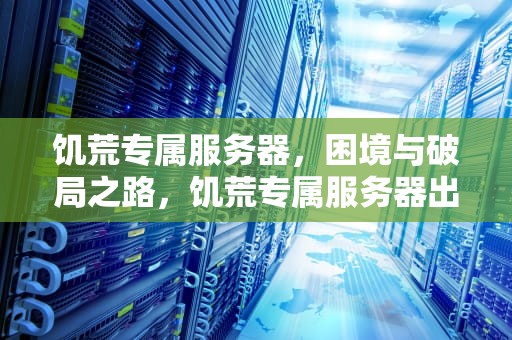 饥荒专属服务器，困境与破局之路，饥荒专属服务器出现问题怎么解决