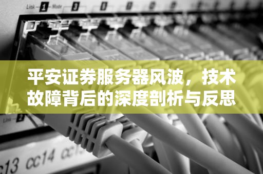 平安证券服务器风波，技术故障背后的深度剖析与反思，平安证劵服务器出问题怎么办