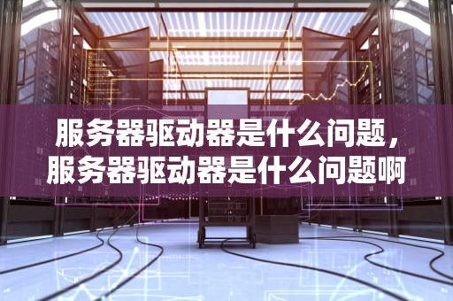 服务器驱动器是什么问题，服务器驱动器是什么问题啊