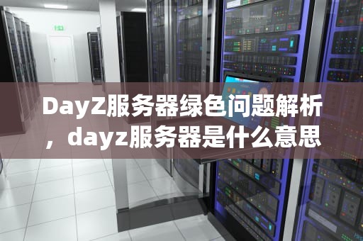 DayZ服务器绿色问题解析，dayz服务器是什么意思