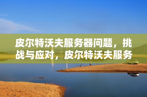 皮尔特沃夫服务器问题，挑战与应对，皮尔特沃夫服务器问题怎么解决