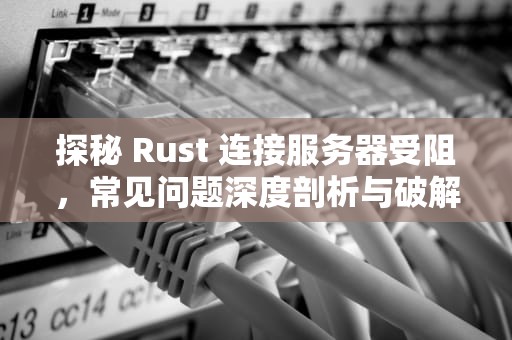 探秘 Rust 连接服务器受阻，常见问题深度剖析与破解之道，rust进不去服务器怎么办