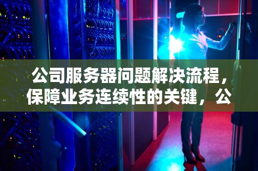 公司服务器问题解决流程，保障业务连续性的关键，公司服务器问题解决流程图