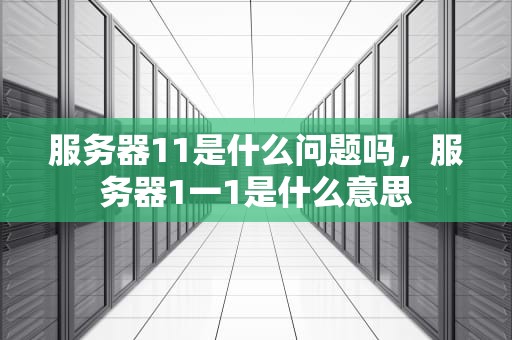 服务器11是什么问题吗，服务器1一1是什么意思