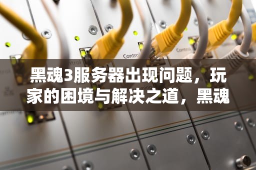 黑魂3服务器出现问题，玩家的困境与解决之道，黑魂3服务器出现问题怎么办