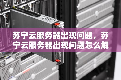 苏宁云服务器出现问题，苏宁云服务器出现问题怎么解决