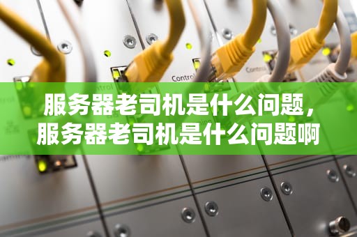 服务器老司机是什么问题，服务器老司机是什么问题啊